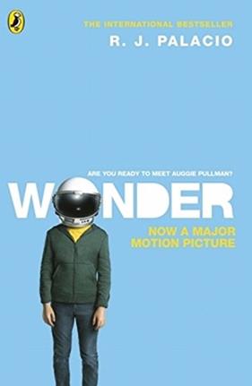 WONDER (ANGLÈS) | 9780141378244 | PALACIO, R. J.