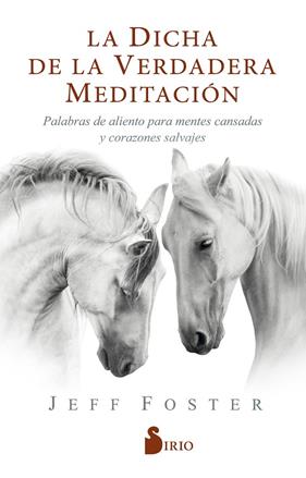 DICHA DE LA VERDADERA MEDITACION, LA | 9788418000522 | FOSTER, JEFF