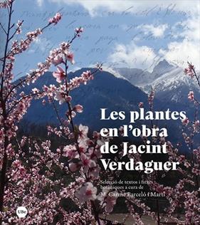 PLANTES EN L’OBRA DE JACINT VERDAGUER, LES | 9788447540792 | BARCELÓ I MARTÍ, MARIA CARME