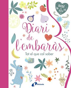 DIARI DE L'EMBARÀS : TOT EL QUE CAL SABER | 9788499067797