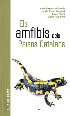 AMFIBIS DELS PAÏSOS CATALANS, ELS | 9788418096341 | GARCÍA SALMERÓN, ALEJANDRO; MALUQUER MARGALEF, JOAN; RIVERA MULA, XAVIER/PUJOL BUXÓ, EUDALD