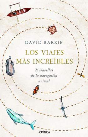 VIAJES MAS INCREIBLES : MARAVILLAS DE LA NAVEGACION ANIMAL | 9788491992059 | BARRIE, DAVID