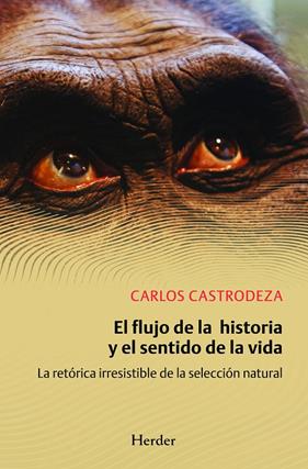 FLUJO DE LA HISTORIA Y EL SENTIDO DE LA VIDA, EL | 9788425429453 | CASTRODEZA RUÍZ DE LA CUESTA, CARLOS