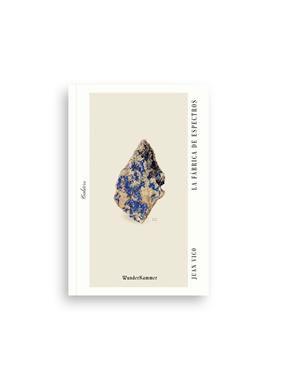 FÁBRICA DE ESPECTROS, LA | 9788412401028 | VICO, JUAN