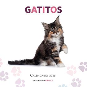 CALENDARIO GATITOS 2025 | 9788448041656