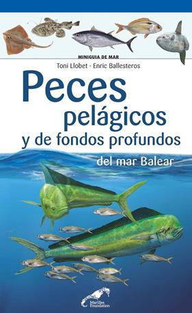 PECES PELAGICOS Y DE FONDOS PROFUNDOS DEL MAR BALEAR | 9788490349571 | LLOBET, TONI