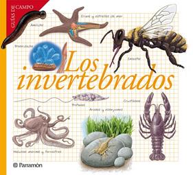 INVERTEBRADOS, LOS | 9788434240599 | BARRES MANUEL, JOSEP M.