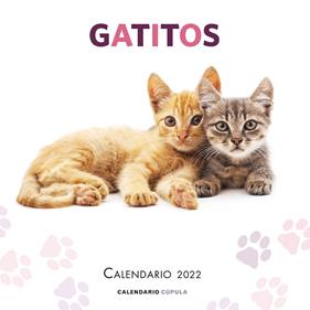 CALENDARIO GATITOS 2022 | 9788448028695