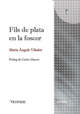 FILS DE PLATA EN LA FOSCOR | 9791399090352 | VILADOT, MARIA ÀNGELS